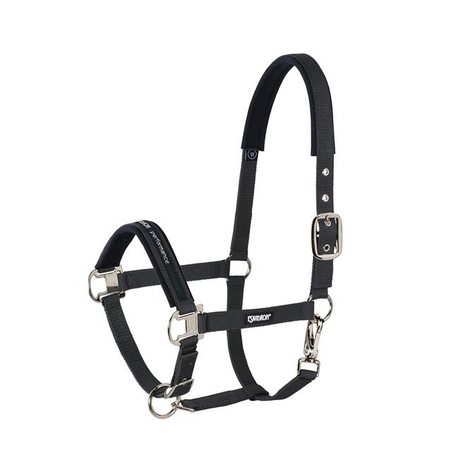 Licol Pin Buckle Eskadron Noir
