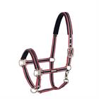 Licol Pin Buckle Eskadron Rouge-bleu foncé