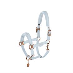 Licol Platinum Double Pin Faux Leather Eksadron Bleu clair