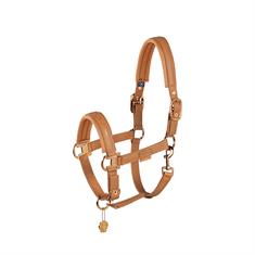 Licol Platinum Double Pin Faux Leather Eksadron Marron moyen