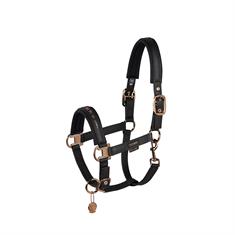 Licol Platinum Double Pin Faux Leather Eksadron Noir