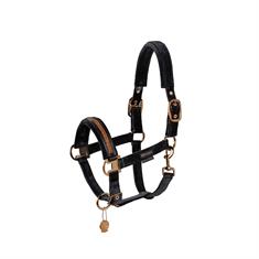 Licol Platinum Double Pin Velvet Jewel Eskadron Noir