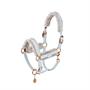 Licol Platinum Metallic Double Pin Faux Leather FF Eskadron Bleu clair
