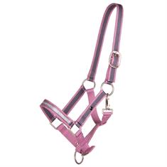 Licol poulain Collection QHP