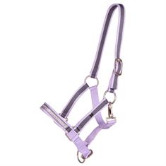 Licol poulain Collection QHP