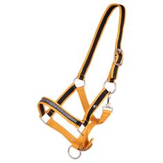 Licol poulain Collection QHP