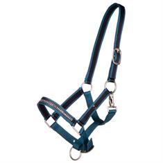 Licol poulain Collection QHP