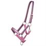 Licol poulain Collection QHP