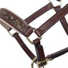 Licol Poulain Foal Lupine Cuir QHP Marron moyen- beige