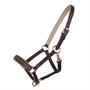 Licol Poulain Foal Lupine Cuir QHP Noir-gris