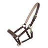 Licol Poulain Foal Lupine Cuir QHP Marron moyen- beige