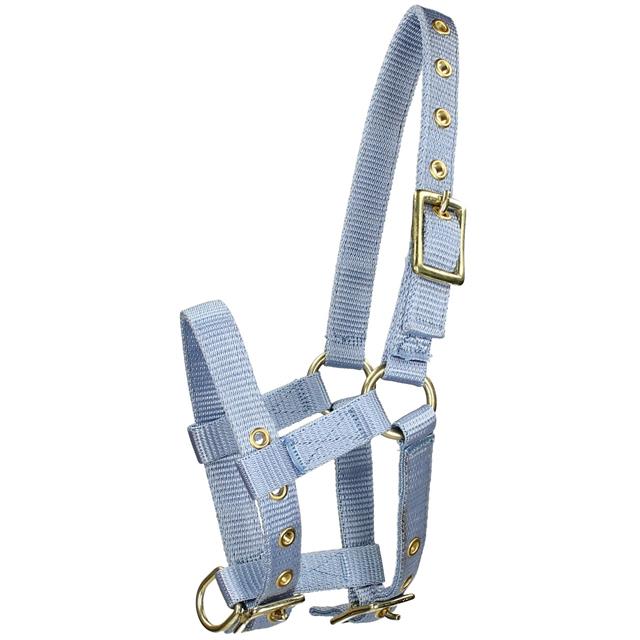 Licol Poulain Foal Mini Barato Bleu clair