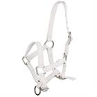 Licol Poulain Foal Mini Q-Essentials Blanc