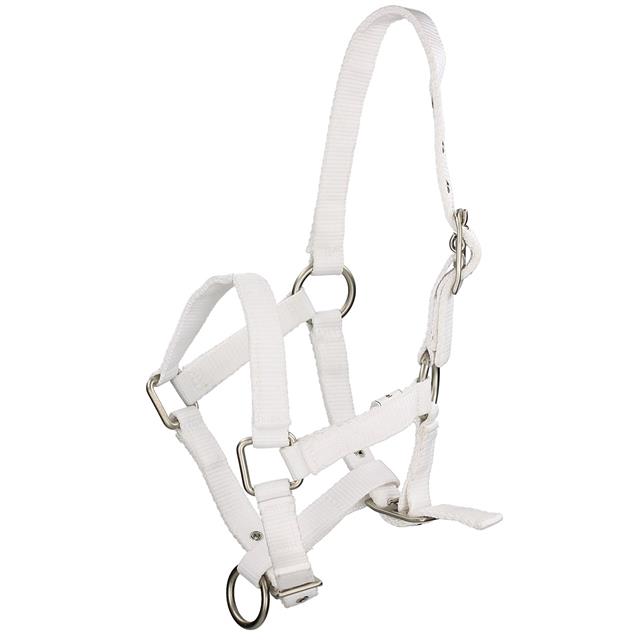 Licol Poulain Foal Mini Q-Essentials Blanc