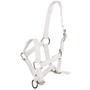 Licol Poulain Foal Mini Q-Essentials Blanc