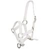 Licol Poulain Foal Mini Q-Essentials Blanc