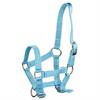 Licol Poulain Foal Mini Q-Essentials Bleu