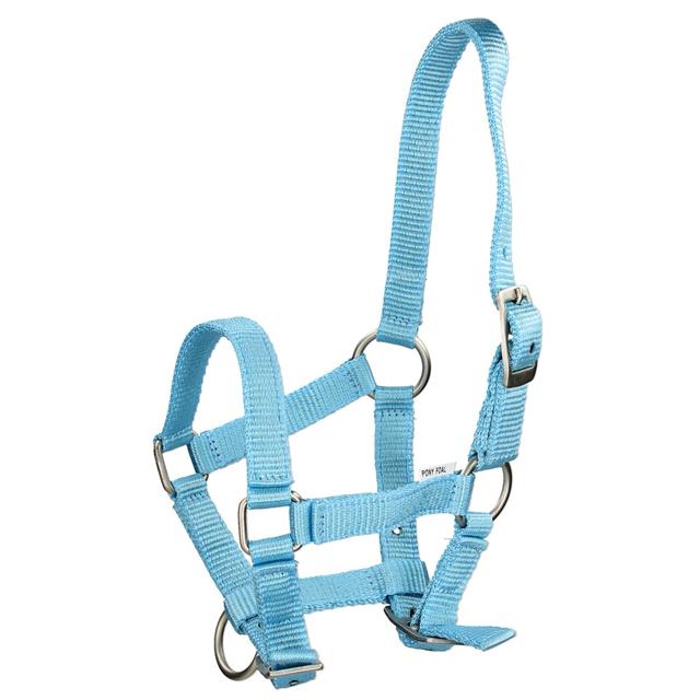 Licol Poulain Foal Mini Q-Essentials Bleu