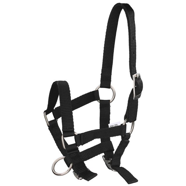 Licol Poulain Foal Mini Q-Essentials Noir
