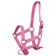Licol Poulain Foal Mini Q-Essentials Rose