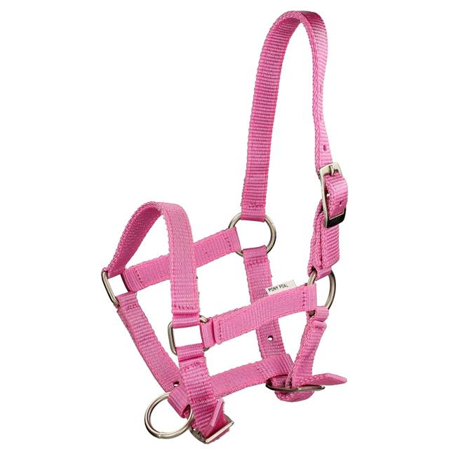 Licol Poulain Foal Mini Q-Essentials Rose