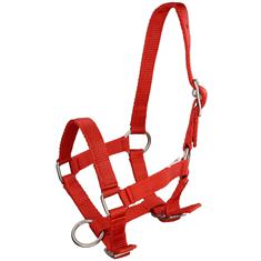 Licol Poulain Foal Mini Q-Essentials Rouge