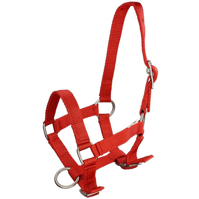 Licol Poulain Foal Mini Q-Essentials Rouge
