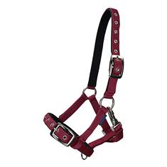 Licol Poulain Foal Respirant Norton Rouge
