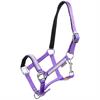 Licol Poulain Foal Strass Epplejeck Violet