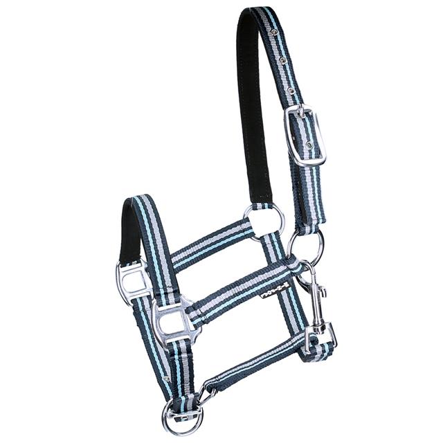 Licol Poulain Foal Zarin HORSEGEAR Bleu foncé-bleu clair