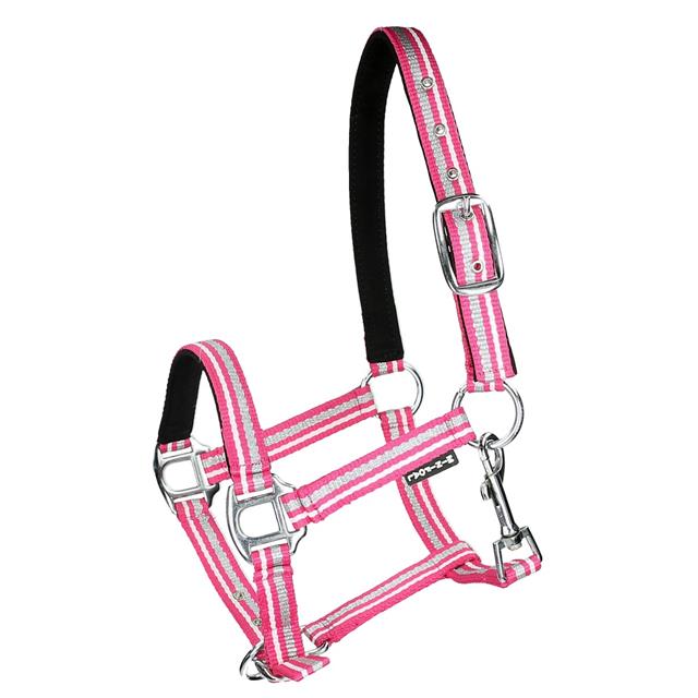 Licol Poulain Foal Zarin HORSEGEAR Rose-blanc