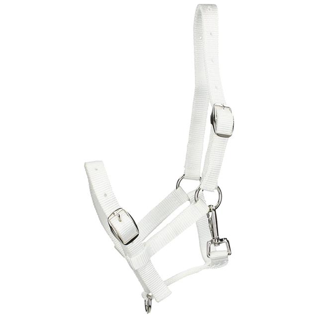 Licol pour poulain Foal Horsegear Blanc