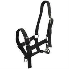 Licol pour poulain Foal HORSEGEAR Noir