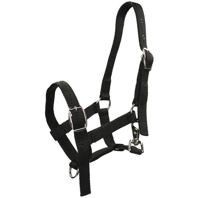 Licol pour poulain Foal HORSEGEAR Noir