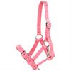 Licol pour poulain Foal HORSEGEAR Rose