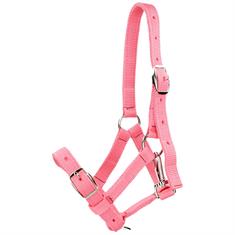 Licol pour poulain Foal HORSEGEAR Rose