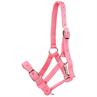 Licol pour poulain Foal HORSEGEAR Rose