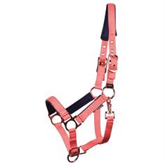 Licol pour poulain Pepper Harry's Horse Rose