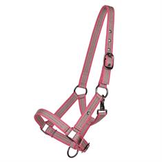 Licol pour poulain QHP Rose moyen