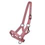 Licol pour poulain QHP Rose moyen