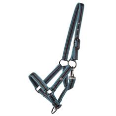Licol pour poulain QHP Turquoise foncé