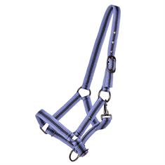 Licol pour poulain QHP Violet