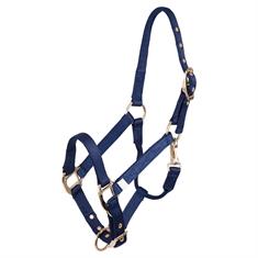 Licol pour poulain réglable en nylon BR  Bleu