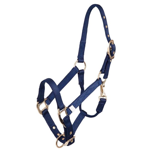 Licol pour poulain réglable en nylon BR  Bleu