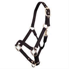 Licol pour poulain réglable en nylon BR  Noir
