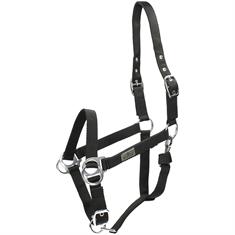 Licol Riding Busse
