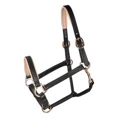 Licol Rosegold Cuir HORSEGEAR Noir-doré