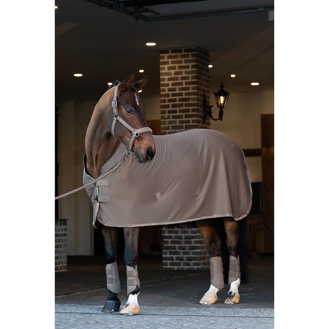 Licol Softshell Pearls Double Pin Eskadron Marron clair