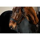 Licol Softshell Pearls Double Pin Eskadron Noir