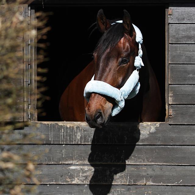 Licol Suave HORSEGEAR Bleu clair